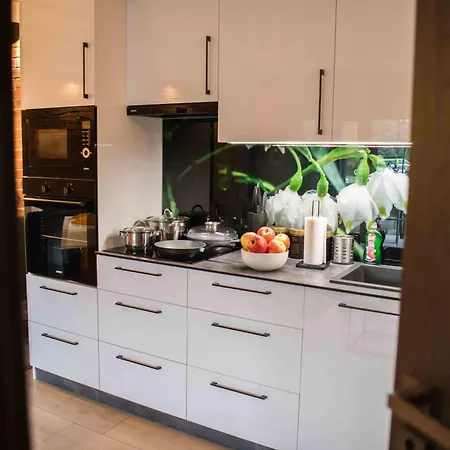 Apartament In Bukowina