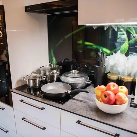 Apartman In Bukowina